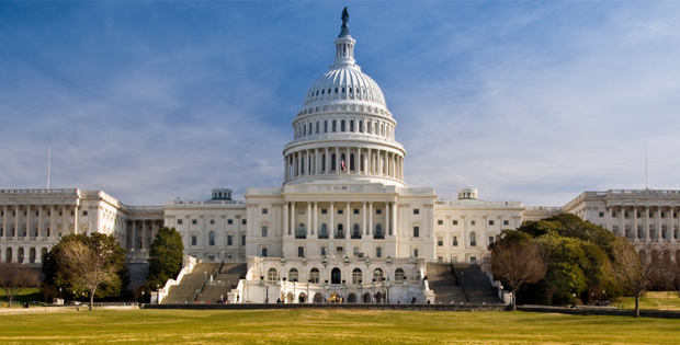 What If Your Life Had Its Own Government?