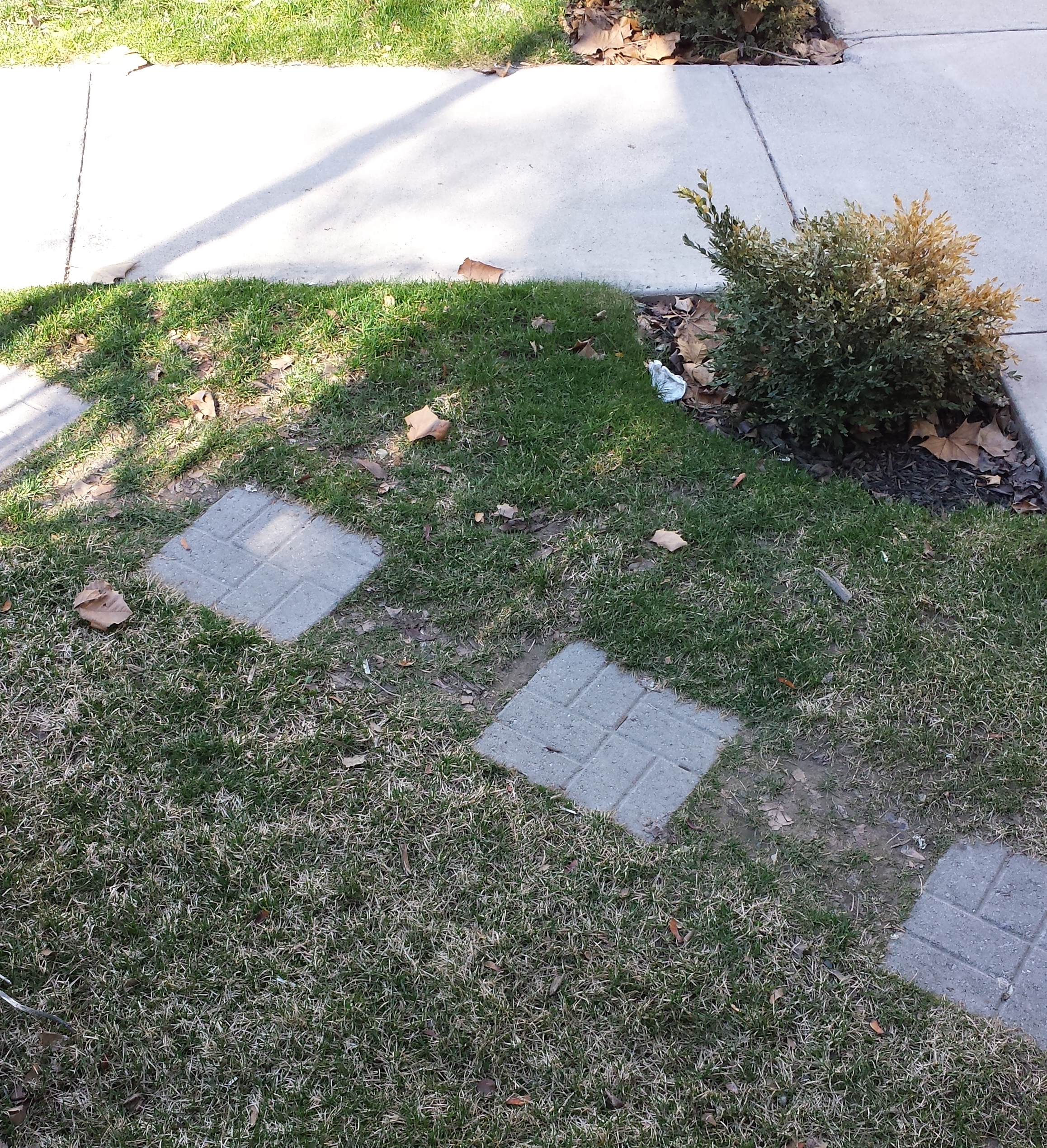 Cement Squares
