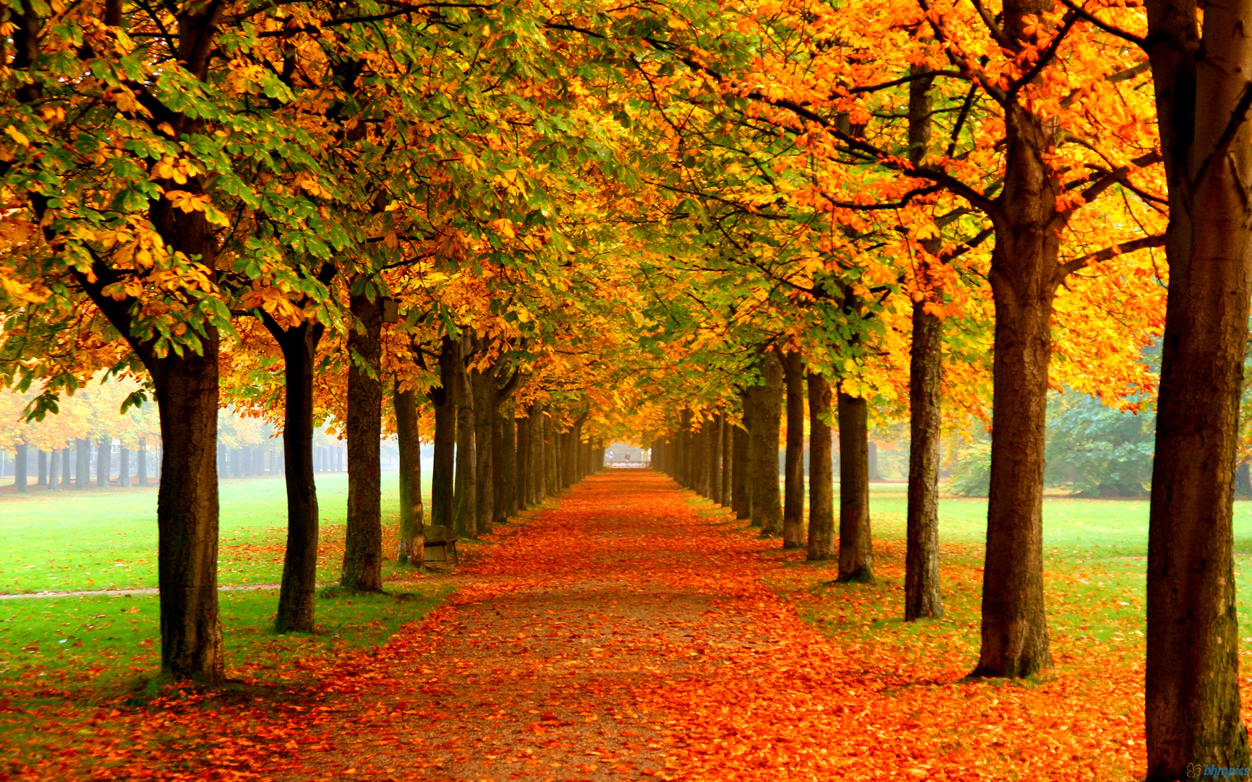 3 Reasons Why We Subconsciously Love Autumn